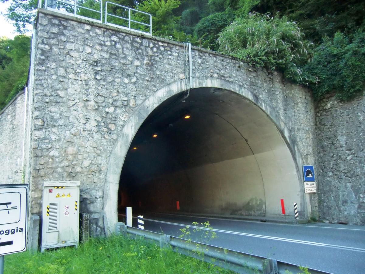 Tunnel Goggia 