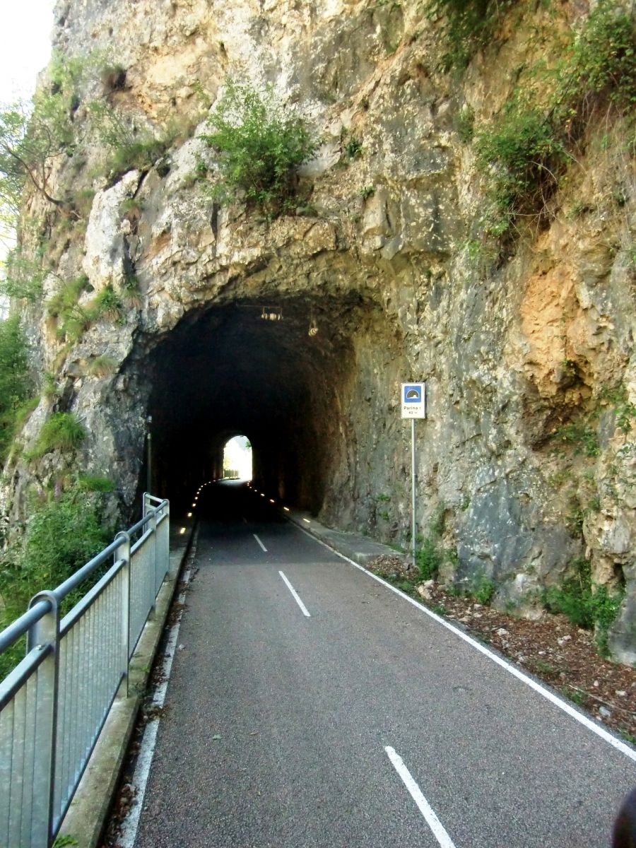 Tunnel Parina 1 