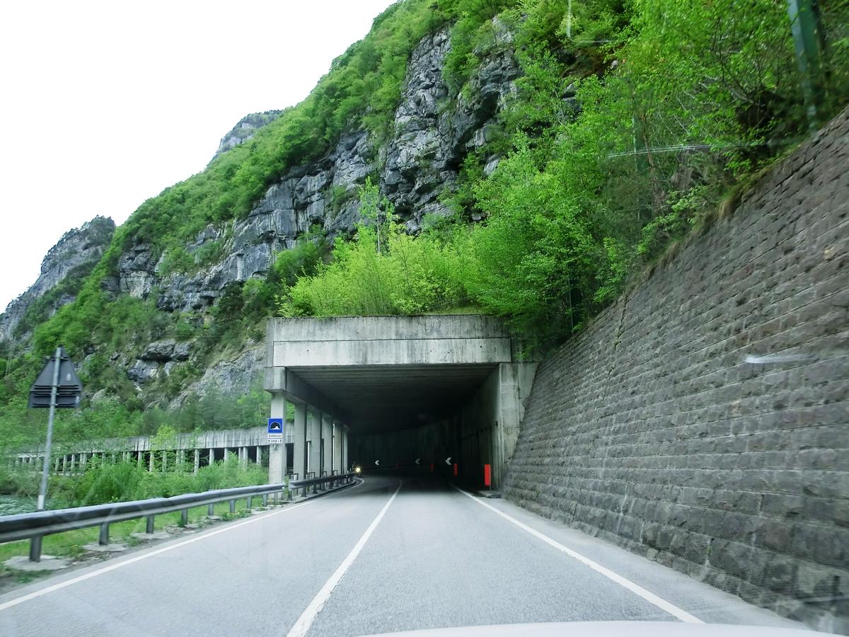 Cofanovi Tunnel southern portal 
