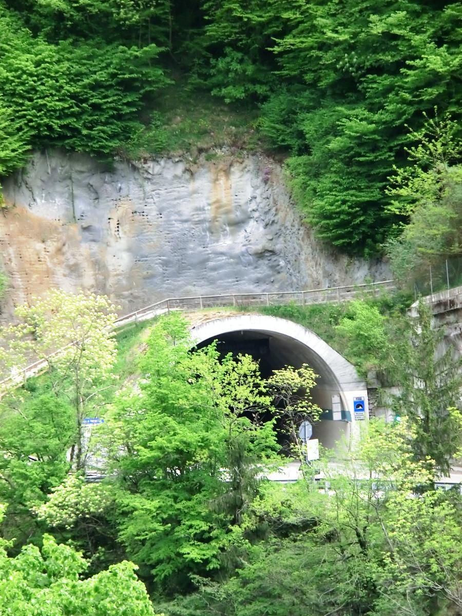 Moline Tunnel southern portal 