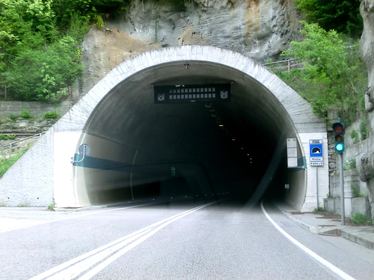 Moline Tunnel southern portal 