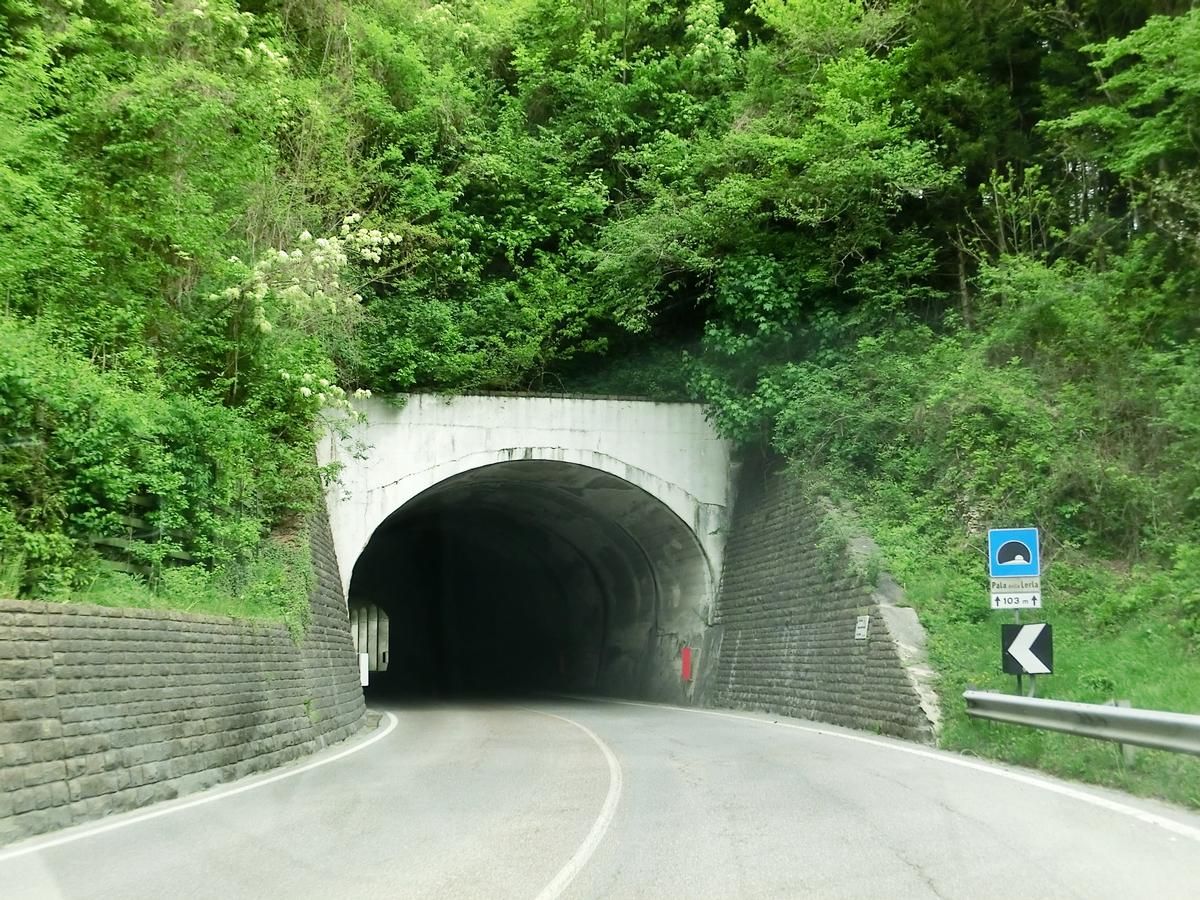 Tunnel Pala della Lerla 