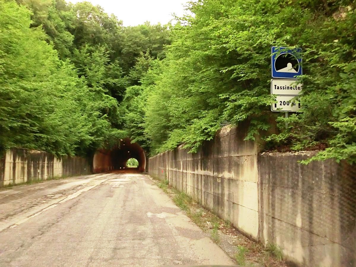 Tassinette Tunnel northern portal 