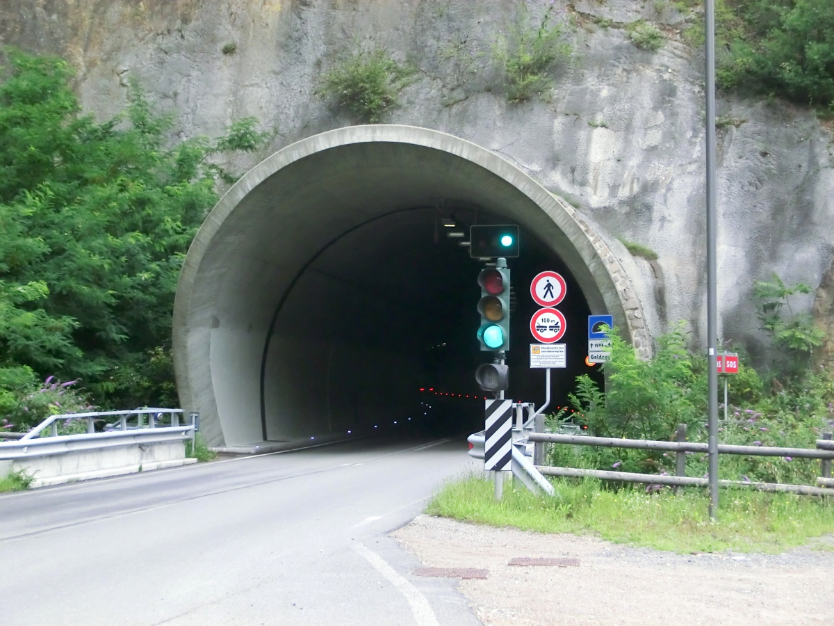 Tunnel Goldegg 