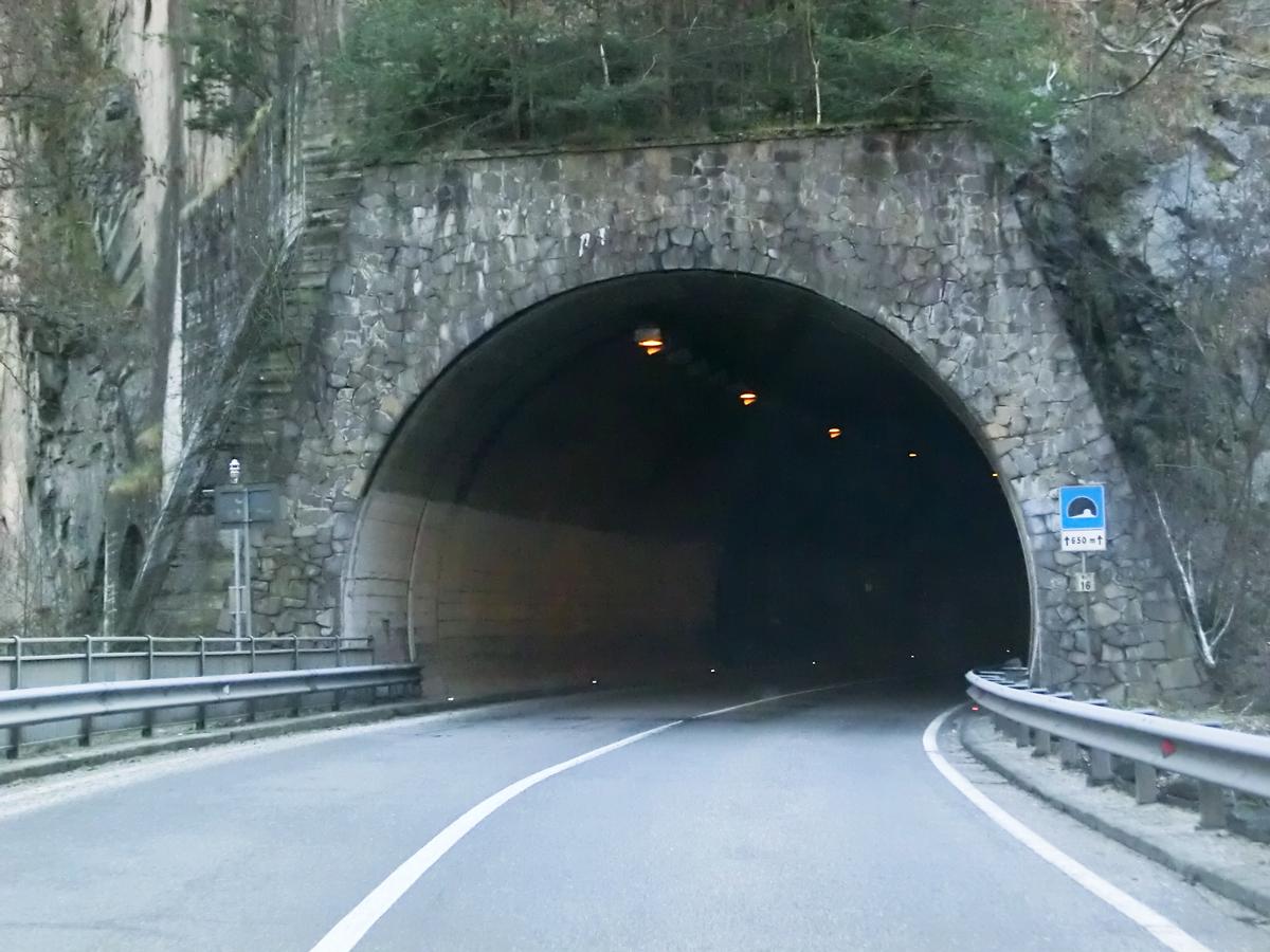 Sarentino 16 Tunnel northern portal 