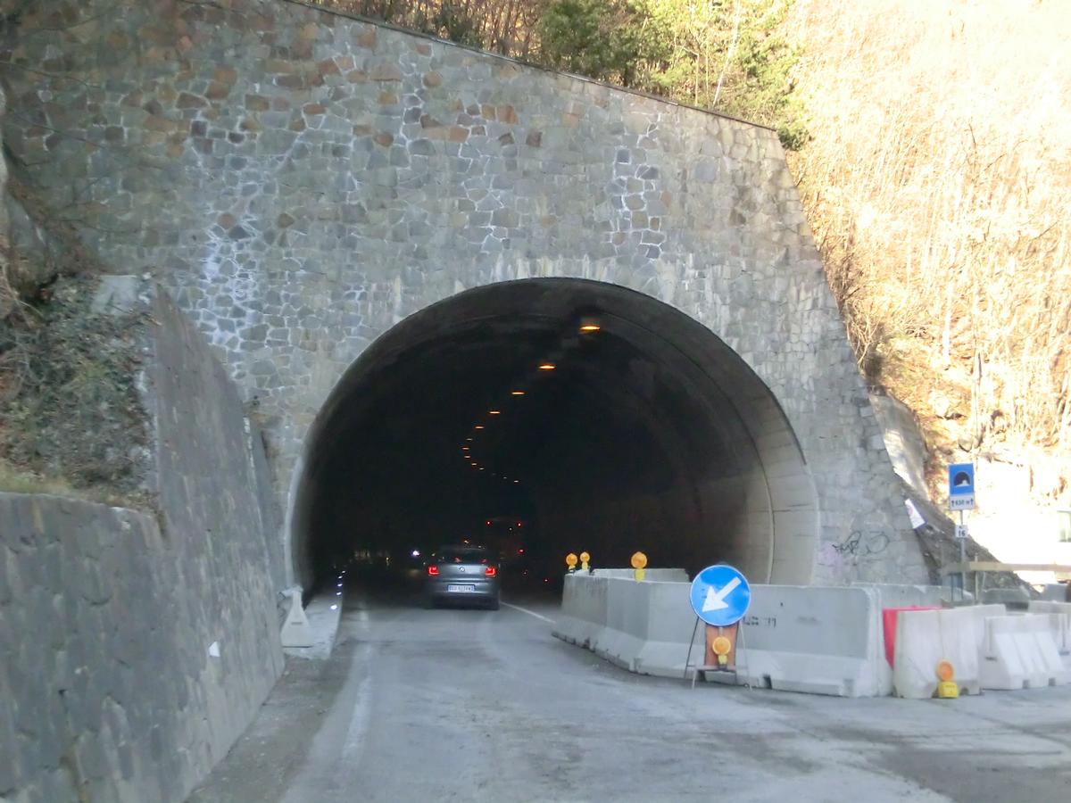 Sarentino 16 Tunnel southern portal 
