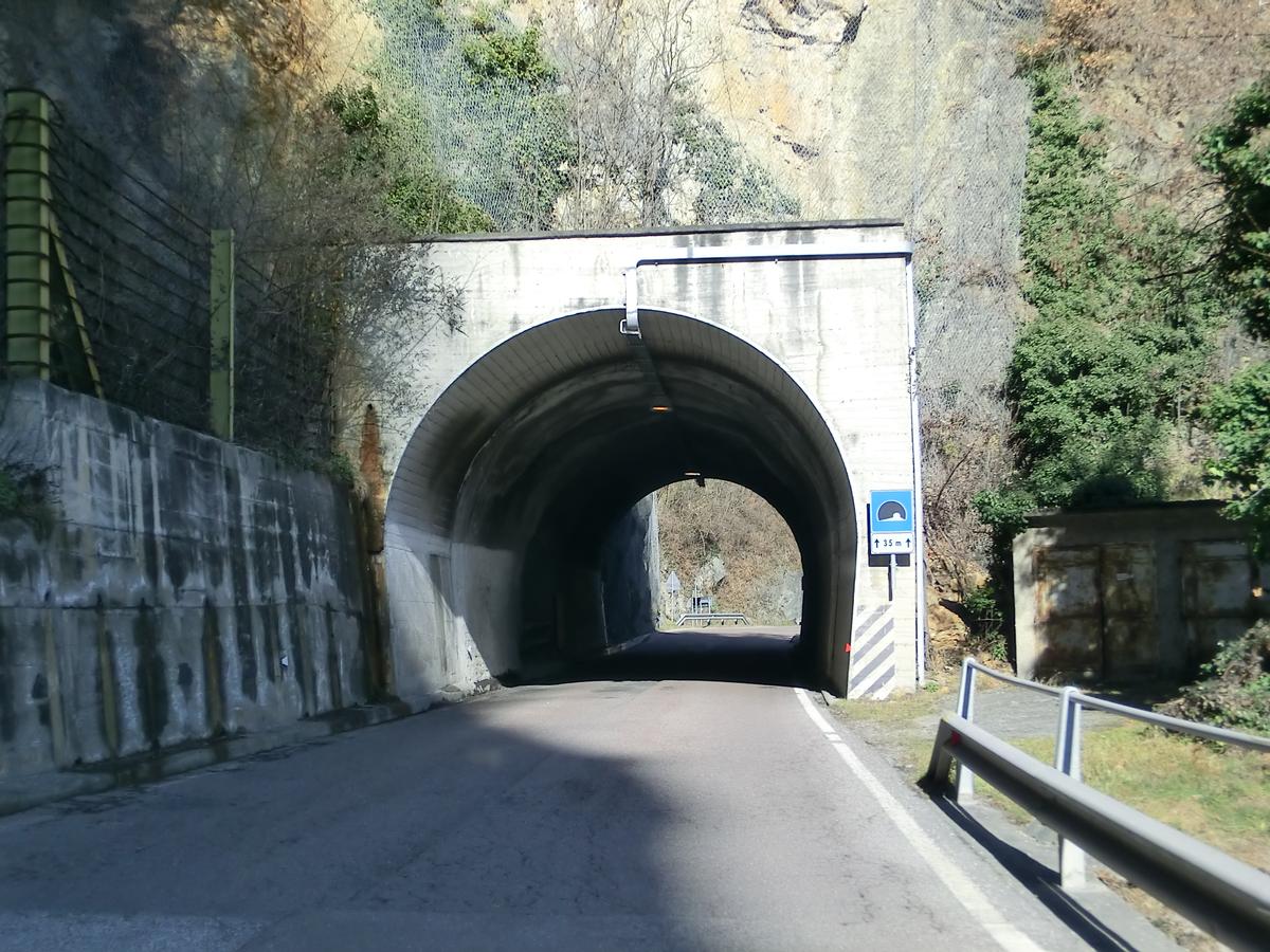 Sarentino 7 Tunnel southern portal 