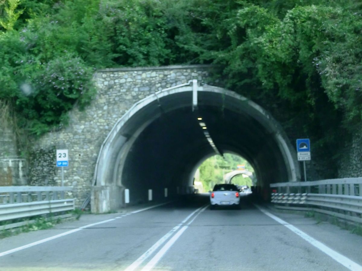 Dosso Tunnel northern portal 