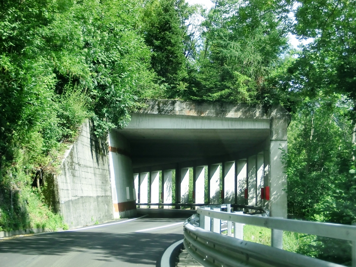 Monte Croce VII Tunnel western portal 