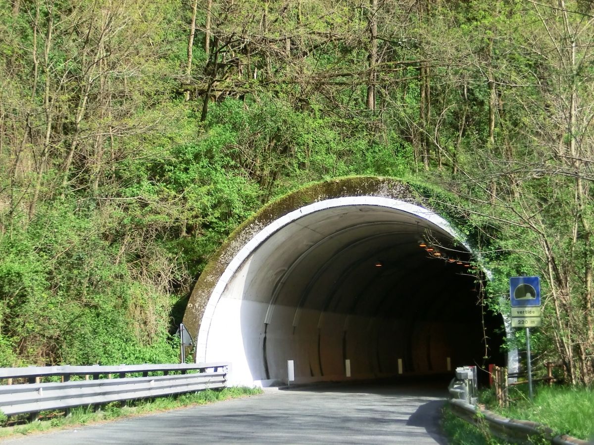 Vertice Tunnel northern portal 