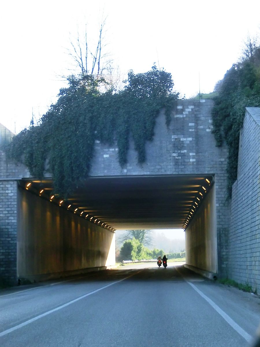 Tunnel Campomigliaio 
