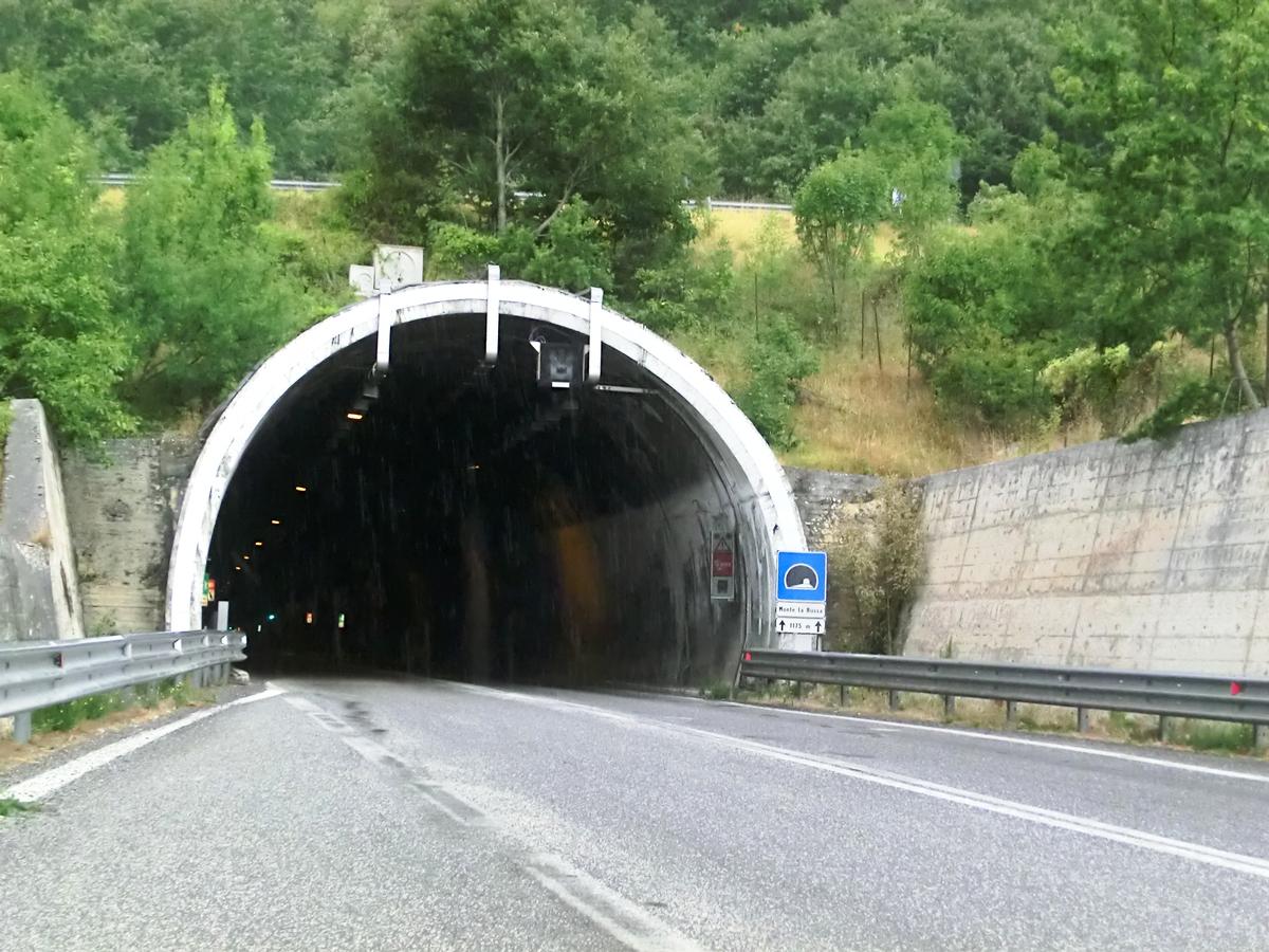 Monte La Russa Tunnel eastern portal 