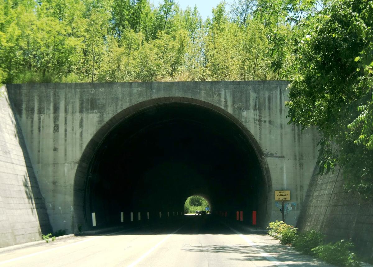 Vignale Tunnel northern portal 