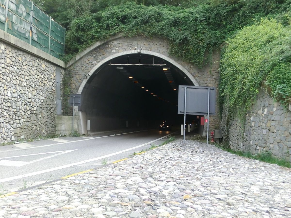 Montenegrone Tunnel exit Nembro branch northern portal 