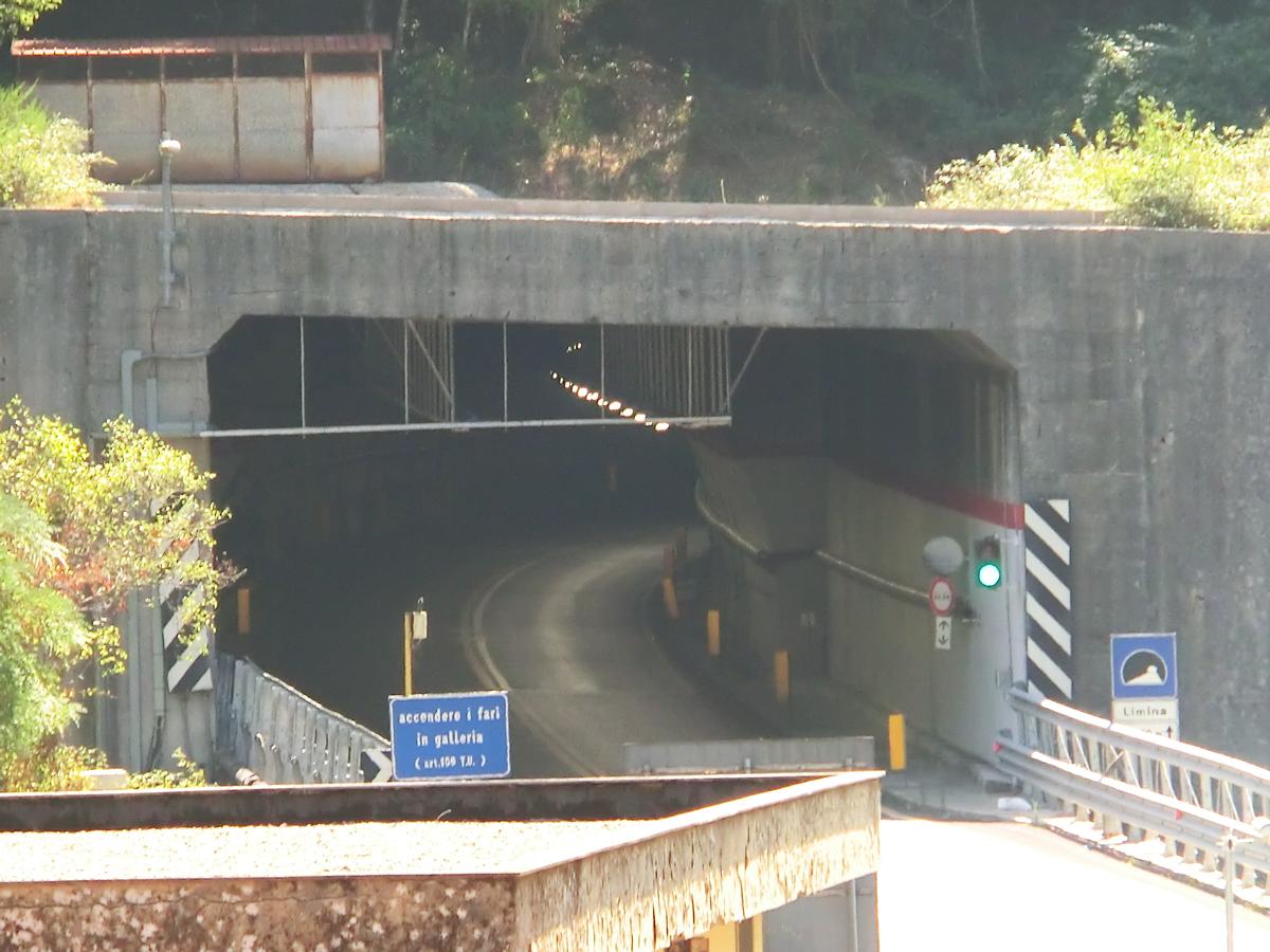 Limina Tunnel northern portal 