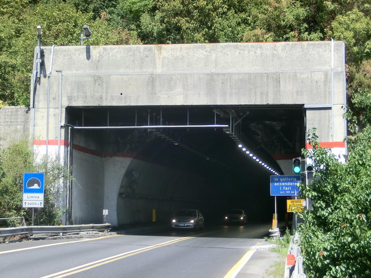 Limina Tunnel southern portal 