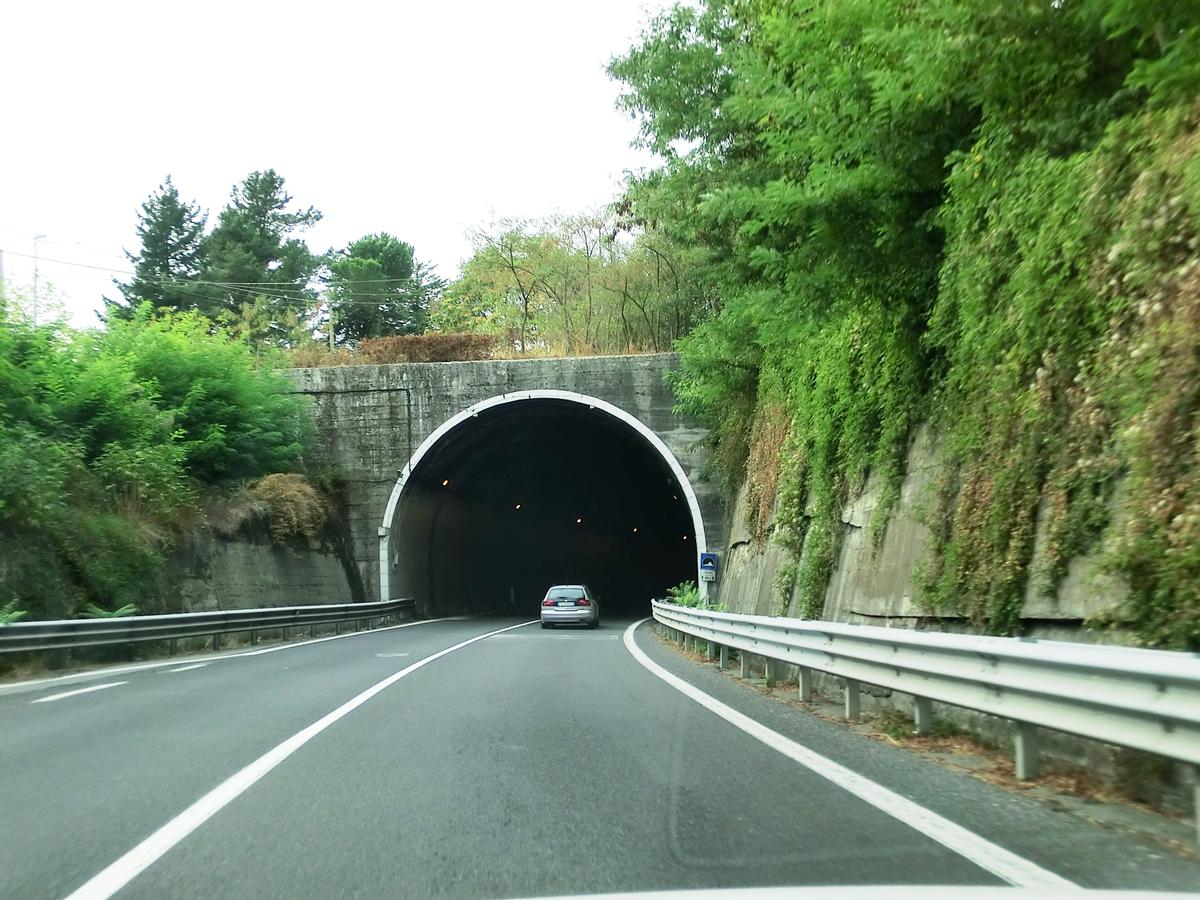 Candida Tunnel 
