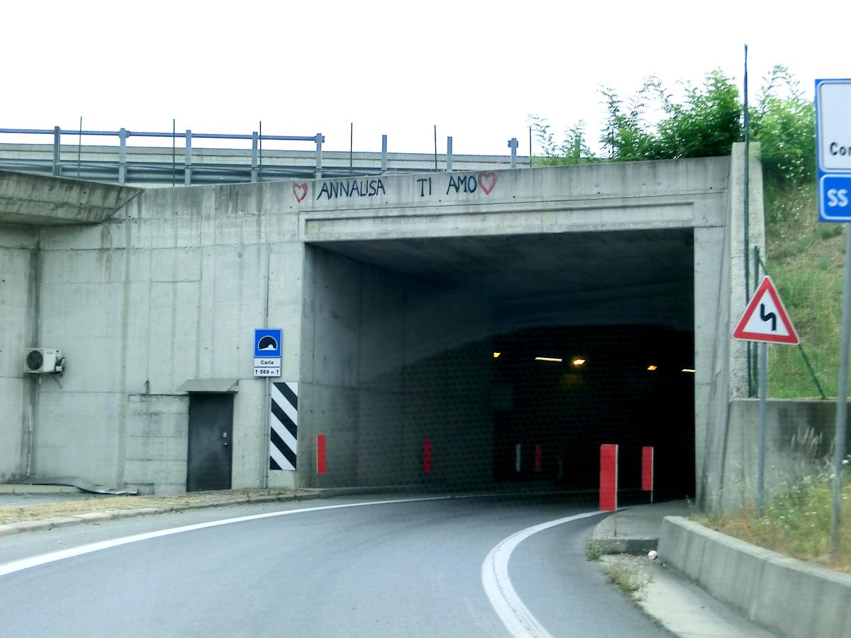Tunnel de Carle 