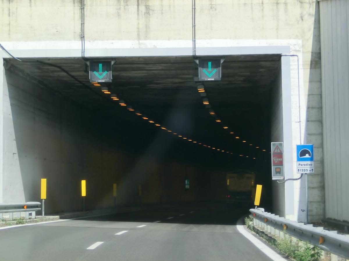 Paradiso Tunnel southern portal 
