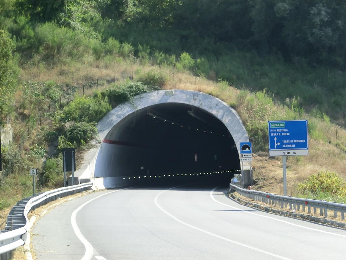 Novalba Tunnel eastern portal 