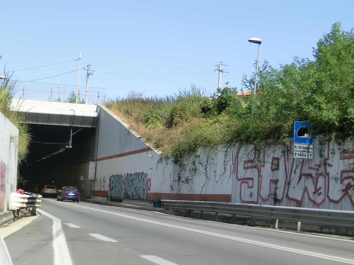 San Silvestro Tunnel southern portal 
