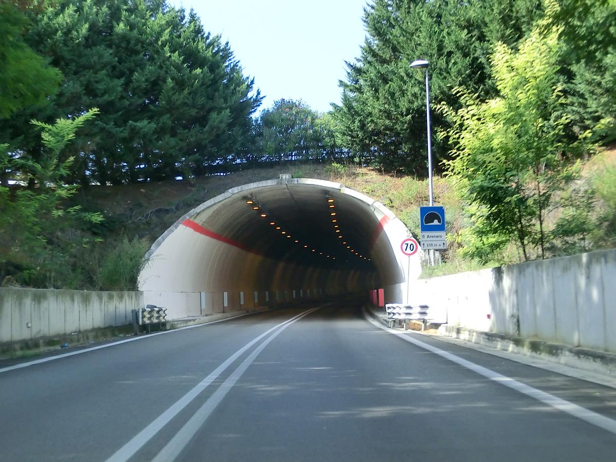 Arenaro Tunnel eastern portal 
