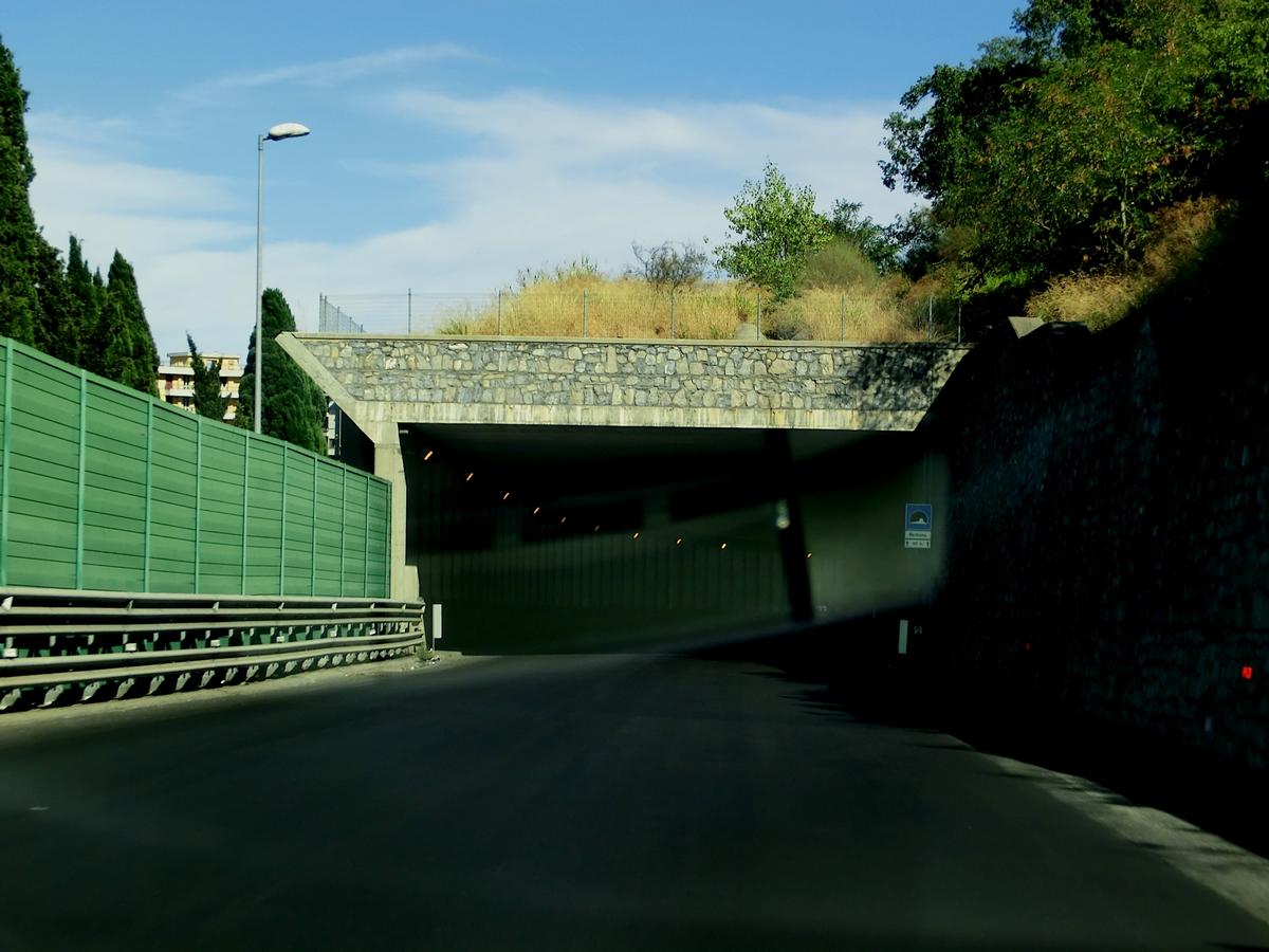 Barbona Tunnel eastern portal 