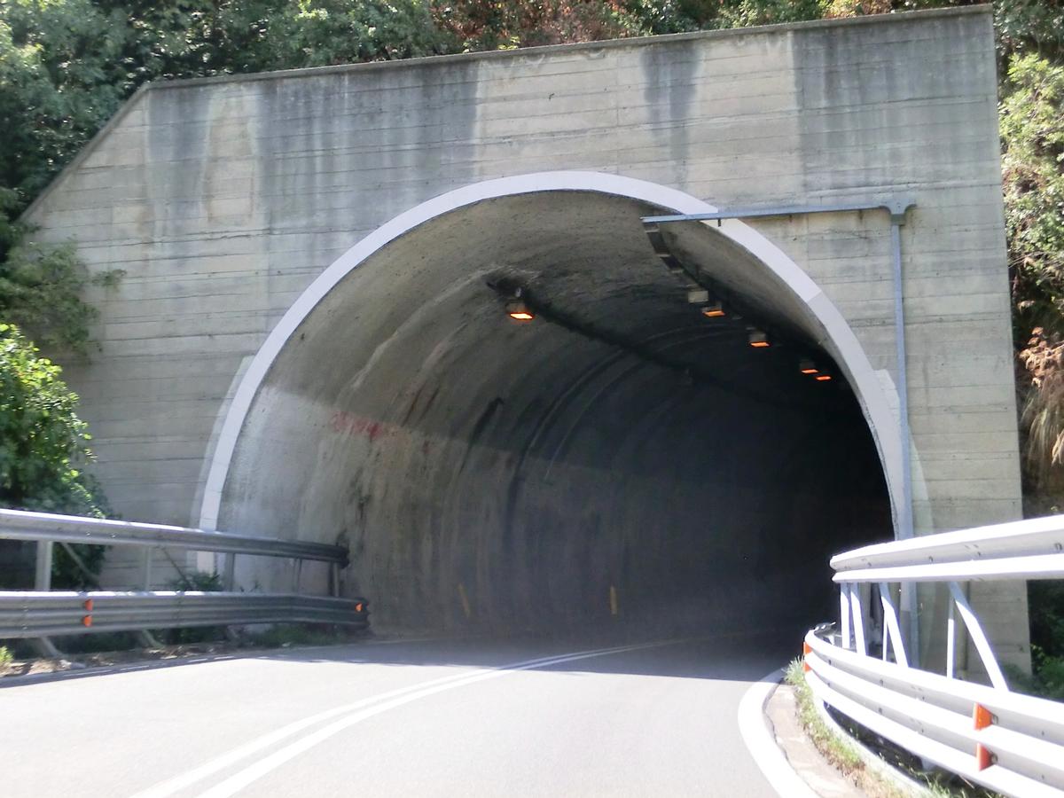 Scilla I Tunnel Reggio Di Calabria Structurae