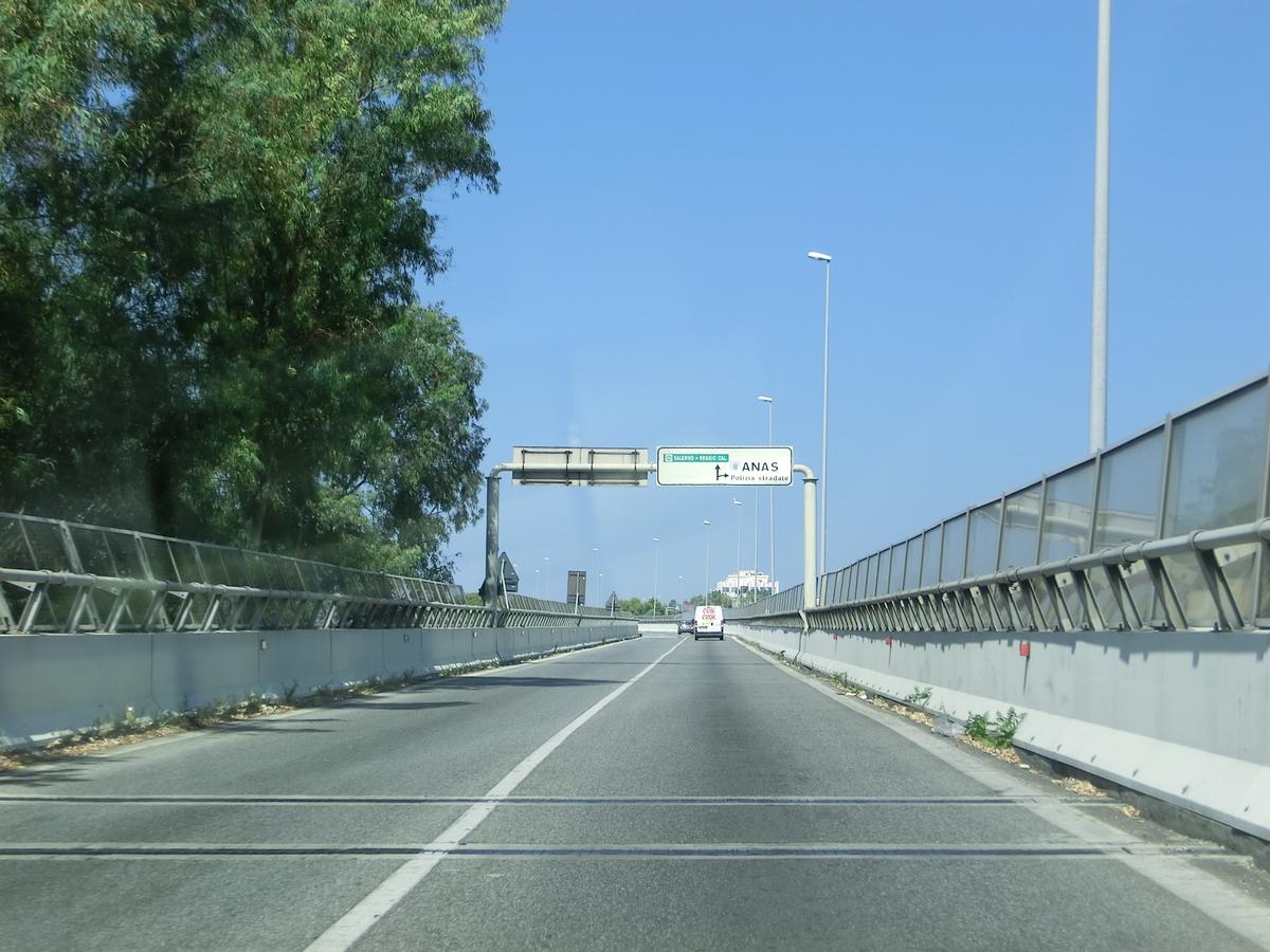 Viaduc Porto-SARC 