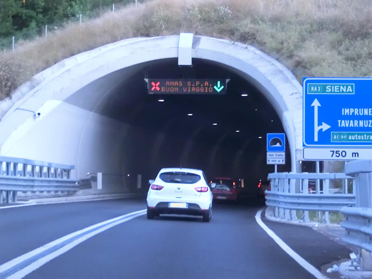 Del Colle Tunnel northern portal 