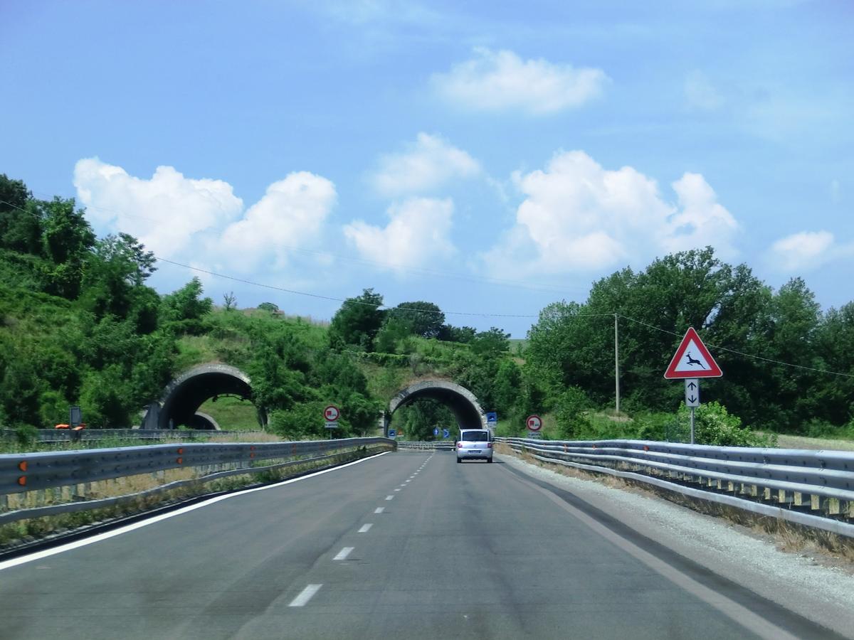 Campo d'Olmo Tunnel eastern portals 