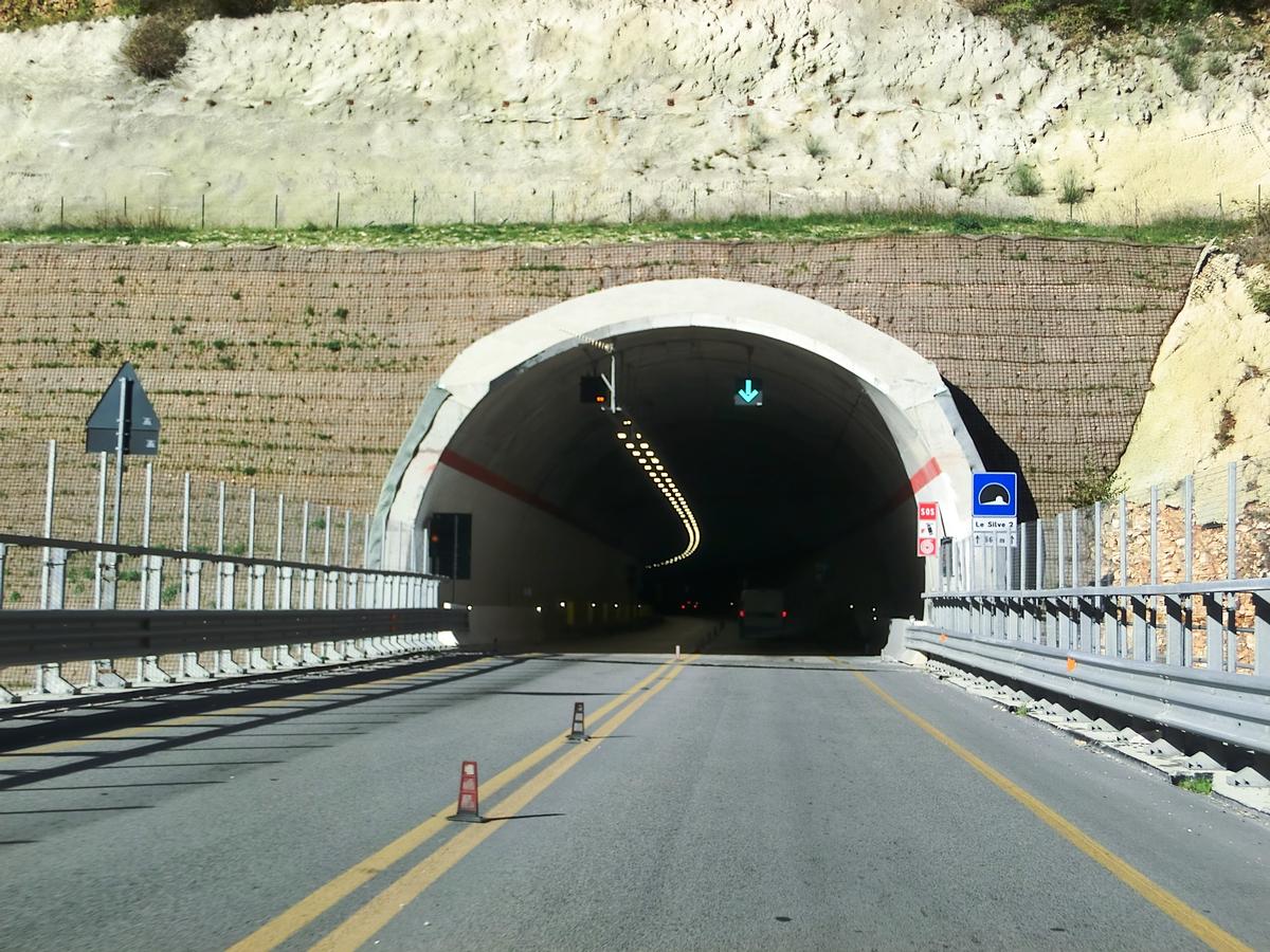 Le Silve 2 Tunnel eastern portal 