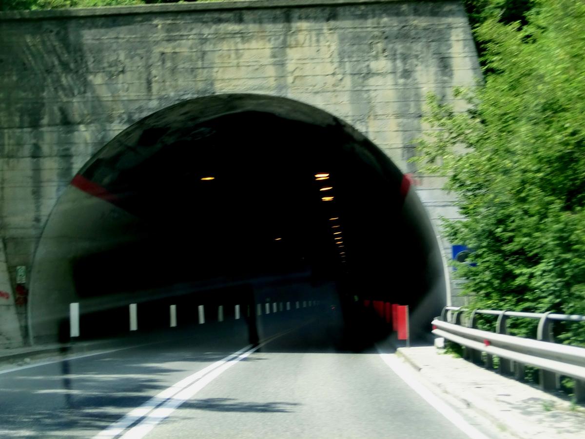 San Silvestro Tunnel northern portal 