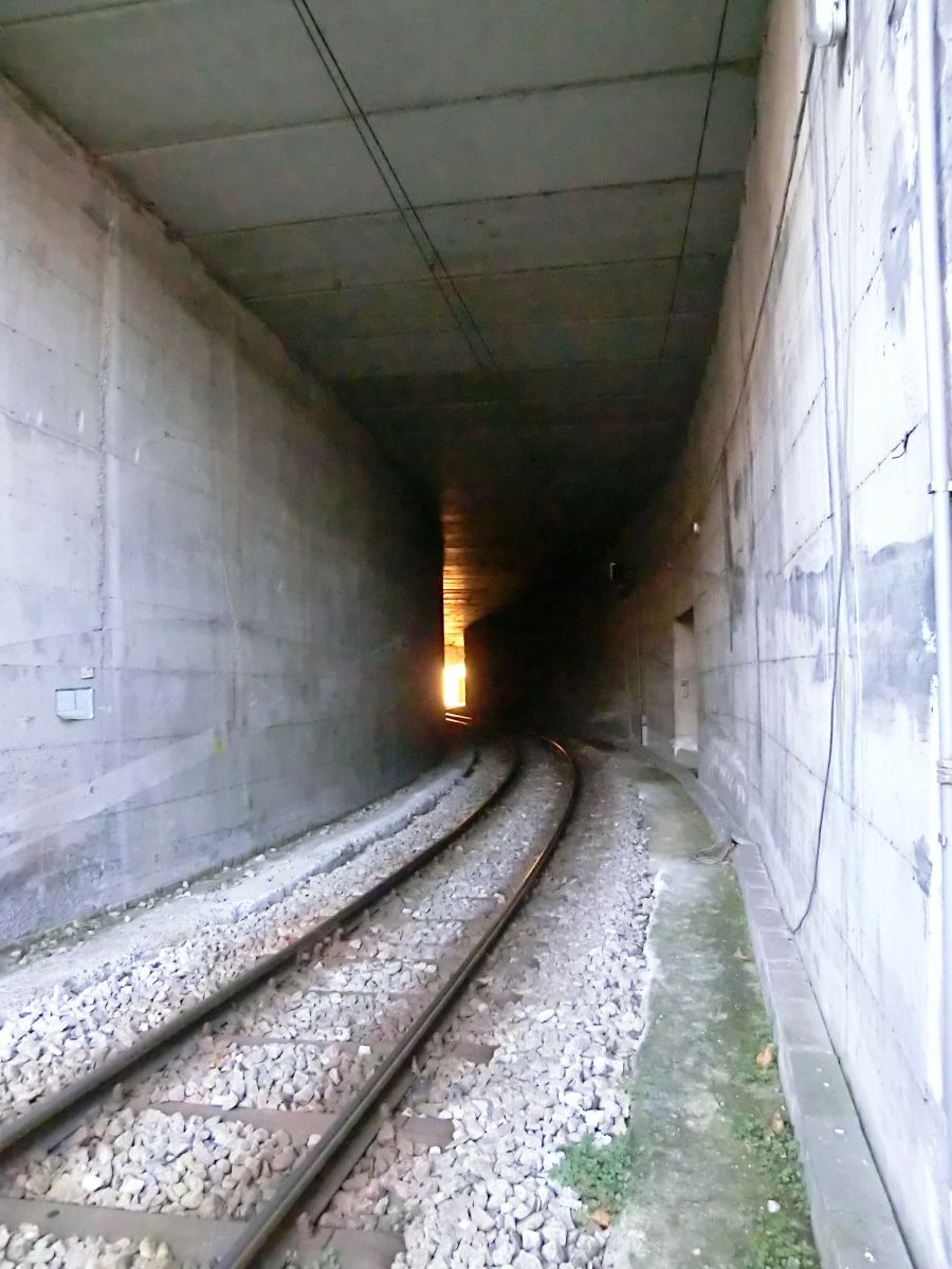 Creggio Tunnel northern portal 
