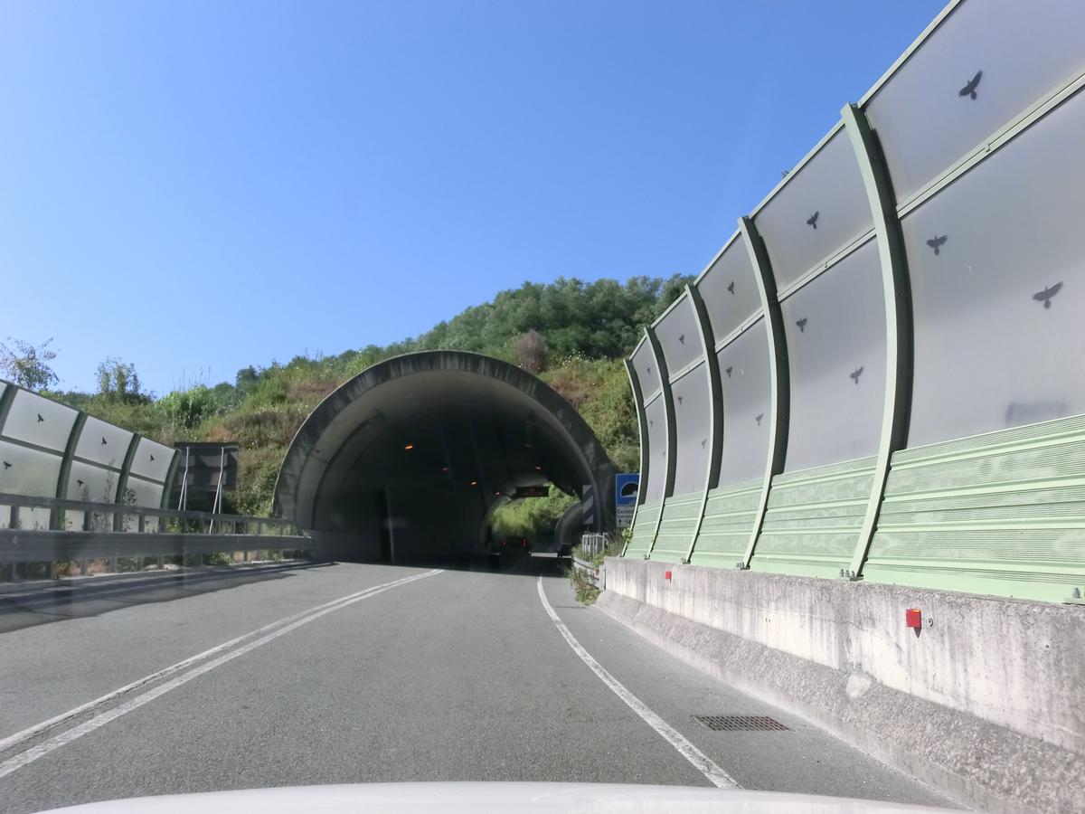Corvenale artificial Tunnel southern portal 