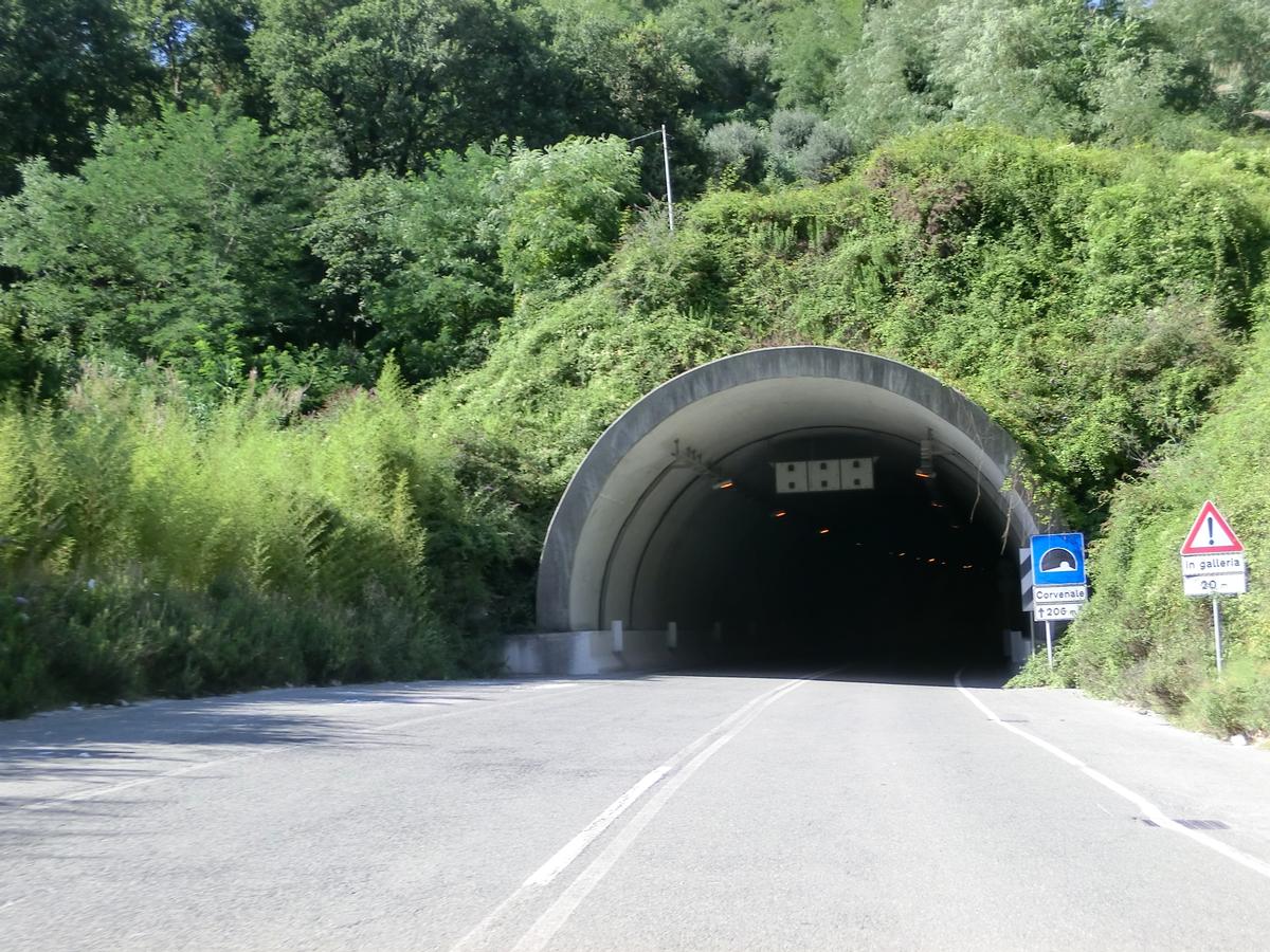 Corvenale Tunnel southern portal 