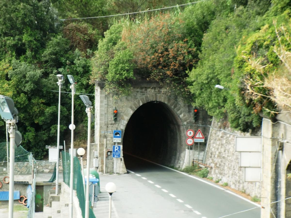 Della Secca Tunnel eastern portal 