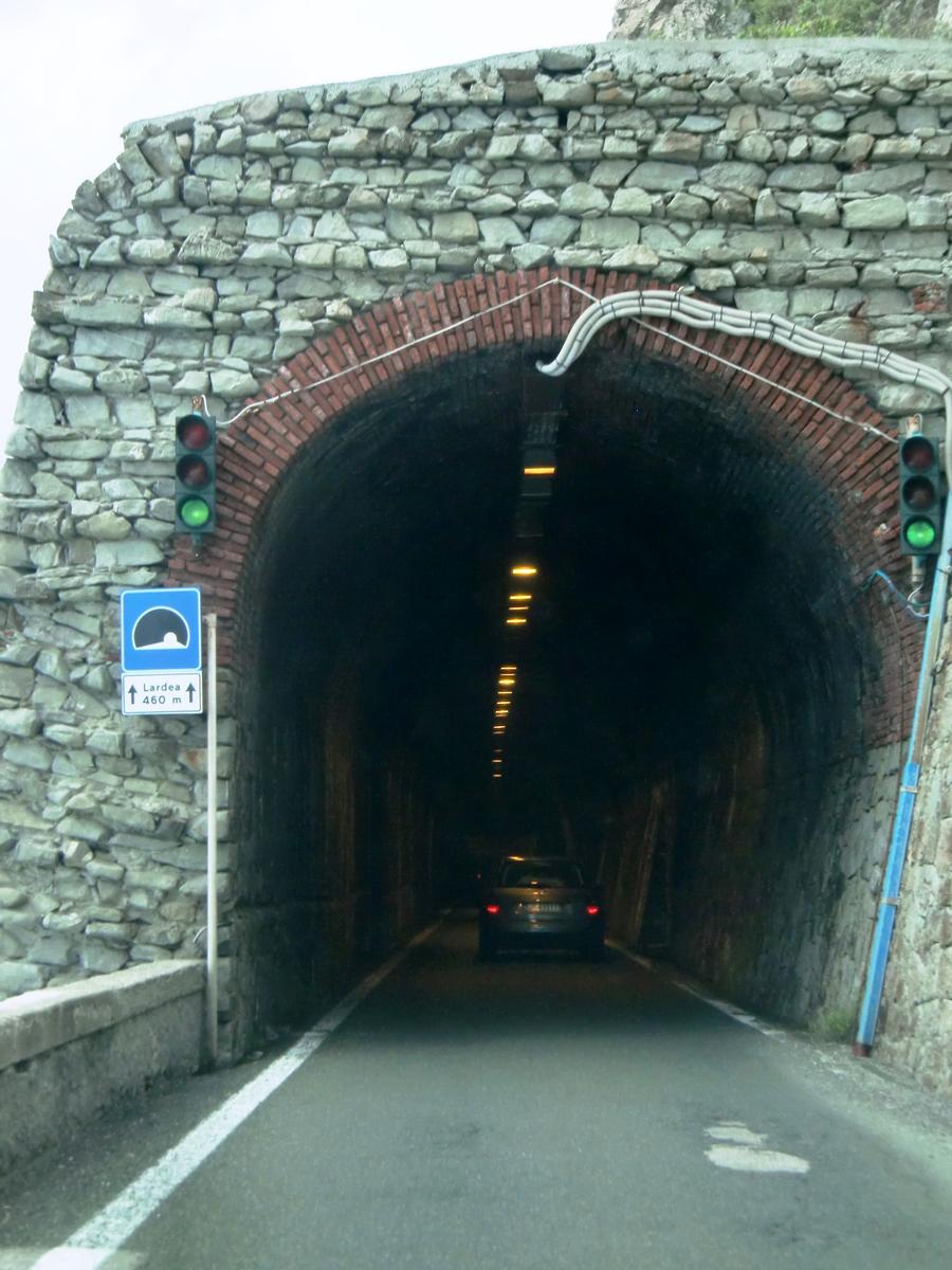Lardea Tunnel eastern portal 