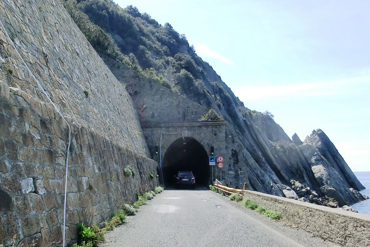 Lardea Tunnel western portal 