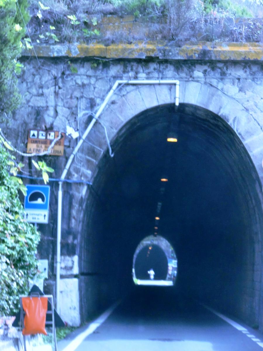 Lemeglio Tunnel western portal 