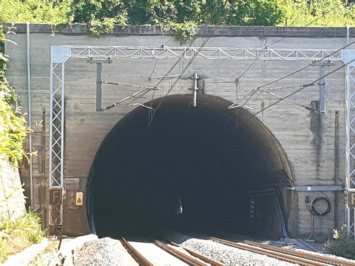 Arboretaccio Tunnel 