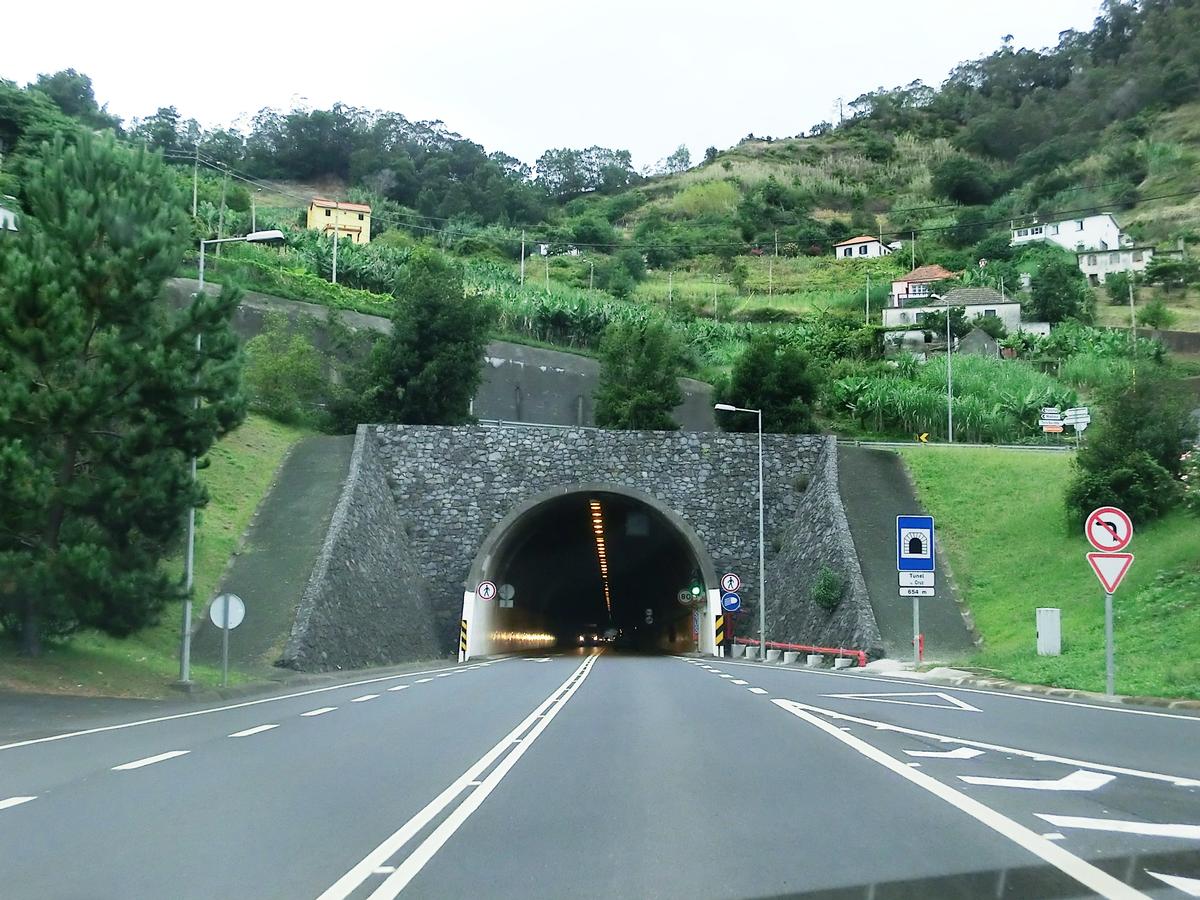 Cruz Tunnel southern portal 