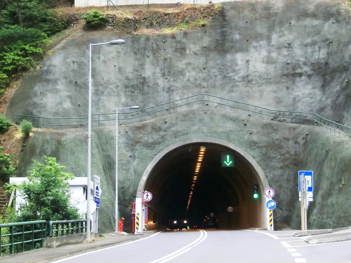 Cruz Tunnel northern portal 