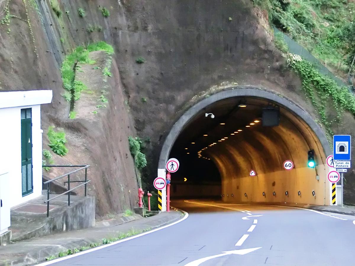 Pinheiro Tunnel eastern portal 