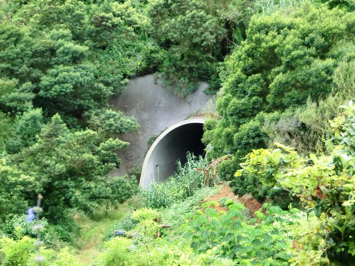 Tunnel Ribeira de São Jorge - Arco de São Jorge 2 