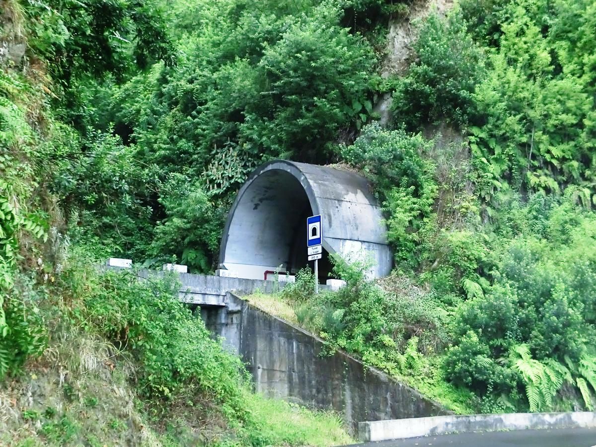 Tunnel de Lugar 