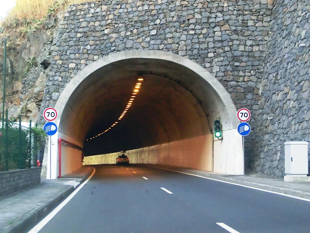 Tunnel Gesteiro 