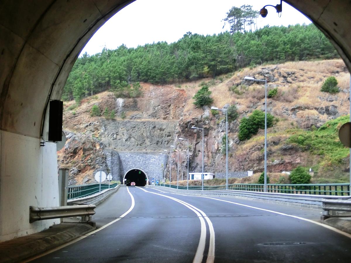 Ribeira Funda Viaduct and Jardim Pelado Tunnel eastern portal from Moinhos Tunnel northern portal 