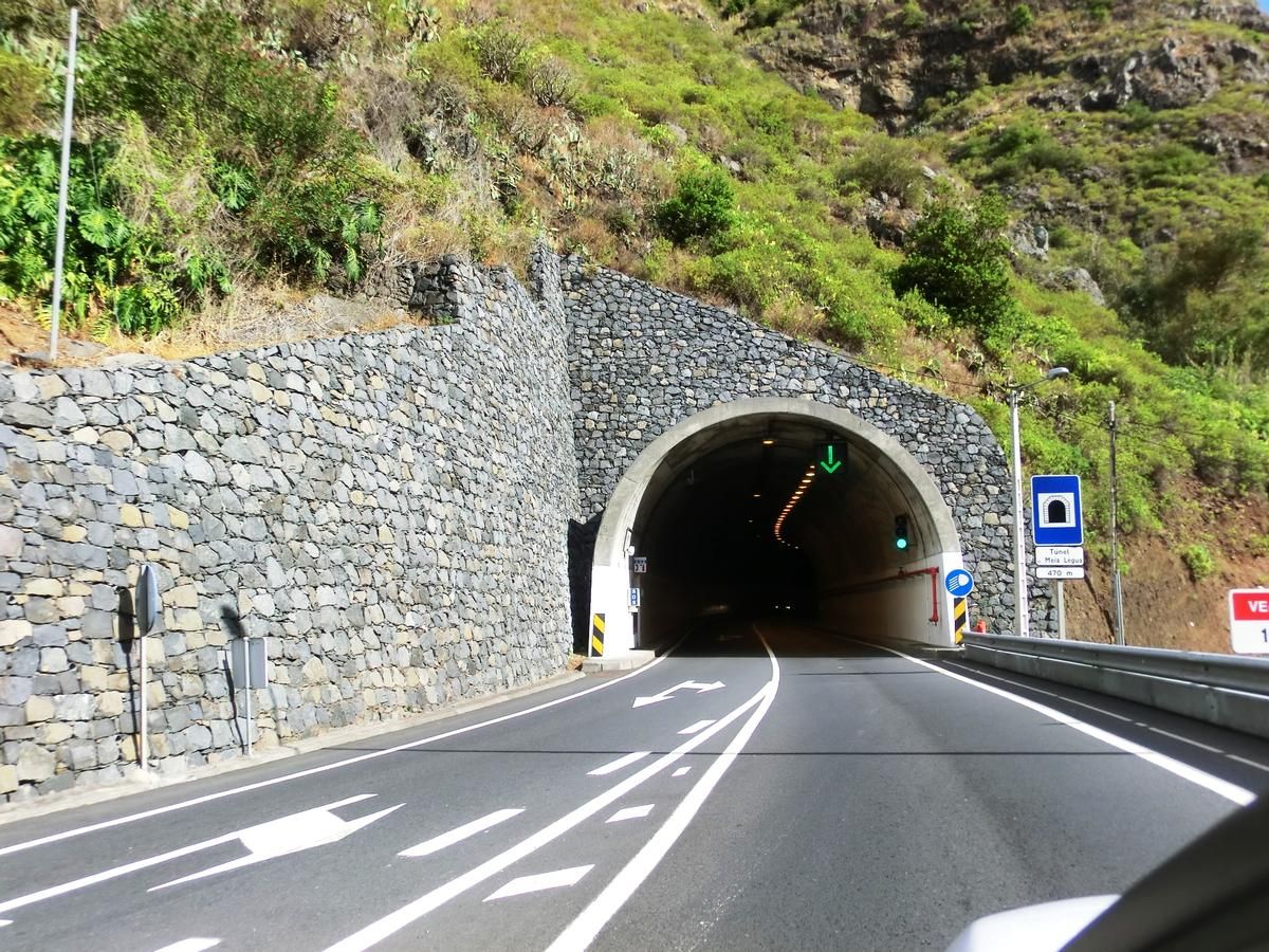 Meia Legua Tunnel southern portal 