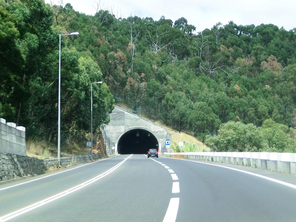 Eiras Tunnel southern portal 